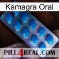 Kamagra Oral viagra1